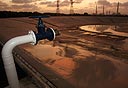צילום: אלעד גרשגורן