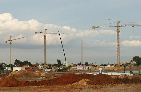 צילום: עמית שעל