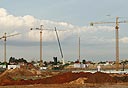 צילום: עמית שעל