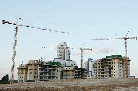 צילום: עמית שעל