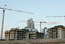 צילום: עמית שעל
