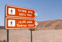 צילום: חיים הורנשטיין