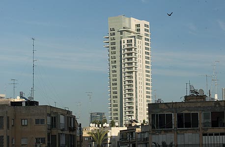 צילום: עמית שעל