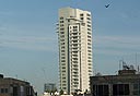 צילום: עמית שעל