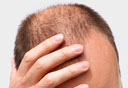 צילום: shutterstock