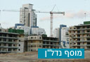 צילום: עמית שעל