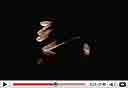 צילום מסך: youtube.com