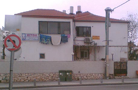 צילום: דוד הכהן צילום: דוד הכהן