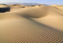 צילום: shutterstock