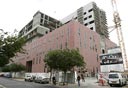 צילום: שאול גולן