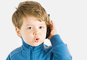 צילום: shutterstock