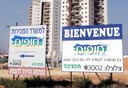 צילום: אלעד גרשגורן צילום: אלעד גרשגורן