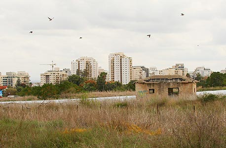 צילום: עמית שעל צילום: עמית שעל