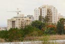 צילום: עמית שעל
