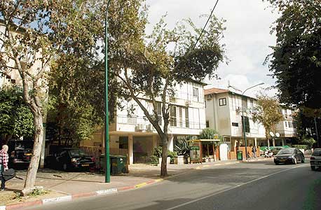 צילום: עמית שעל צילום: עמית שעל