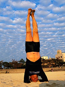 צילום: David McLain צילום: David McLain