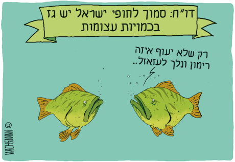 איור : יונתן וקסמן