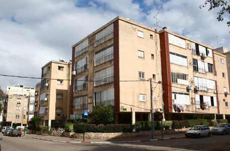 צילום: אוראל כהן