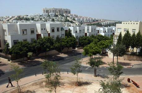 צילום: עמית שעל