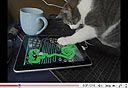 צילום מסך: youtube.com