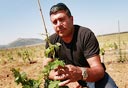 צילום: דויד סילברמן