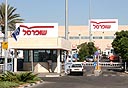 צילום: צביקה טישלר