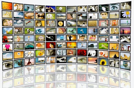 צילום: shutterstock צילום: shutterstock
