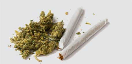 מריחואנה מריחואנה