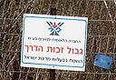 צילום: עמית שעל