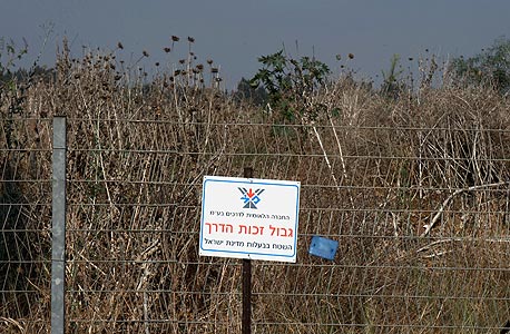 צילום: עמית שעל צילום: עמית שעל