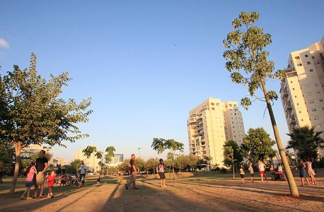 צילום: עמית מגל