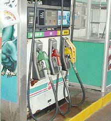 צילום: דוד הכהן