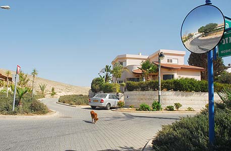 צילום: הרצל יוסף צילום: הרצל יוסף