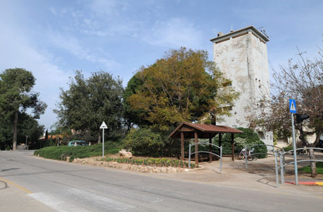 צילום: דורון גולן   