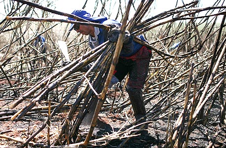 צילום: בלומברג