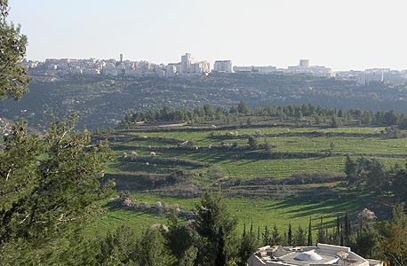צילום: הילרי הרצברגר צילום: הילרי הרצברגר