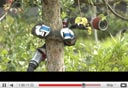 צילום מסך: youtube.com