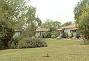 צילום: דוד הכהן