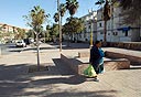 צילום: חיים הורנשטיין