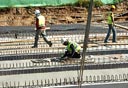 צילום: עמית שעל