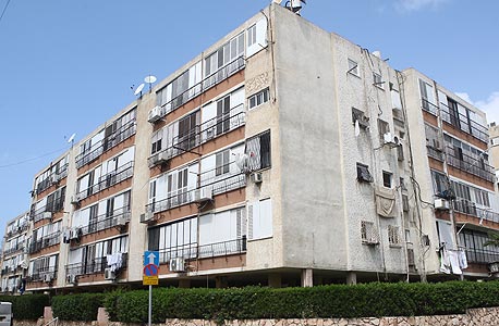 צילום: אוראל כהן צילום: אוראל כהן