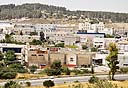 צילום: מיקי אלון