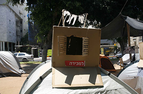 צילום: תומי הרפז