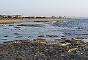 צילום: אלמוג ליטמון נימי לנגר