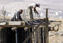 צילום: בועז אופנהיים