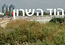 צילום: עמית שעל 