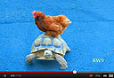 צילום מסך: Youtube