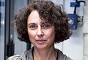 צילום: נועם מושקוביץ 