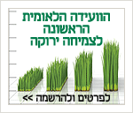 צמיחה ירוקה