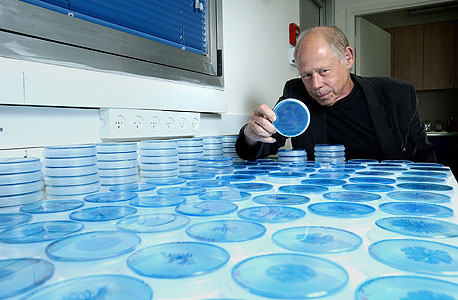 צילום: עמית שעל